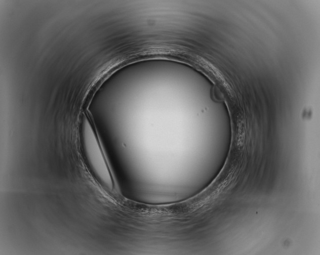 X0000099570786200806061602