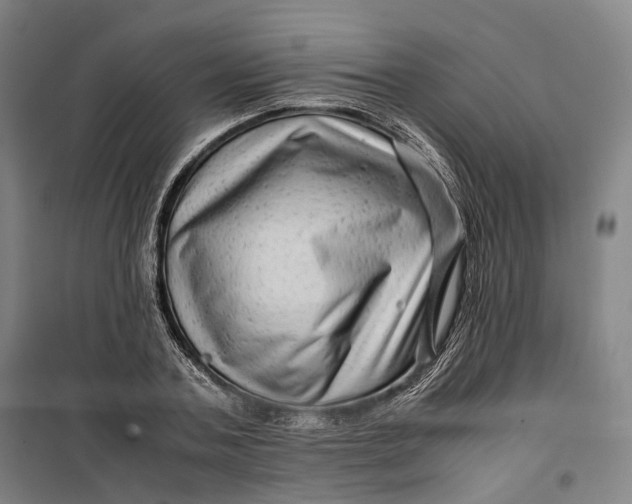 X0000099570787200806061602