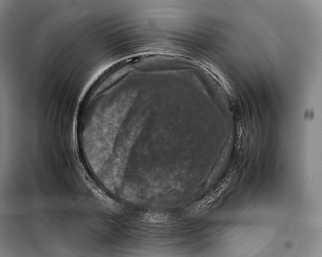 X0000099570788200806061602