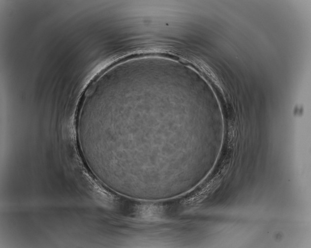 X0000099570789200806061602