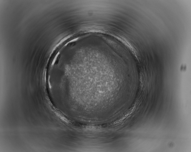 X0000099570790200806061602