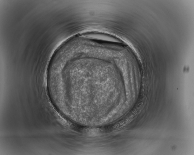 X0000099570791200806061602