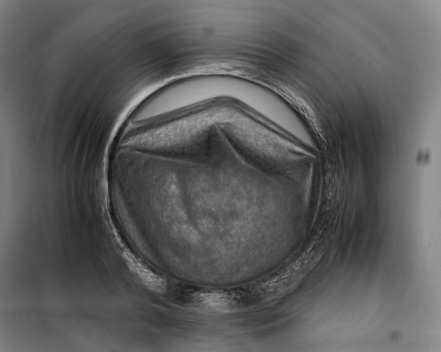 X0000099570792200806061602
