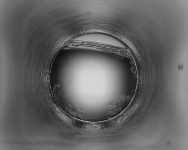 X0000099570793200806061602