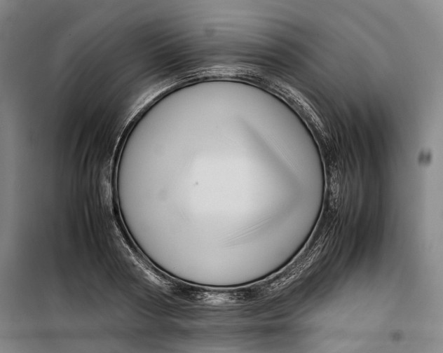 X0000099570794200806061602
