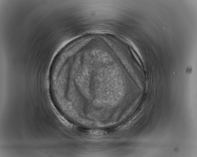 X0000099570795200806061602