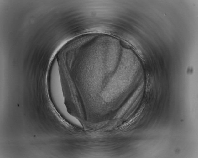 X0000099570796200806061602