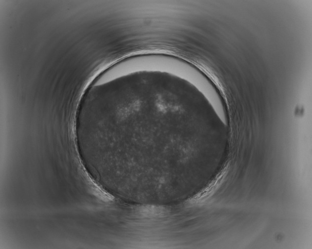 X0000099570797200806061602