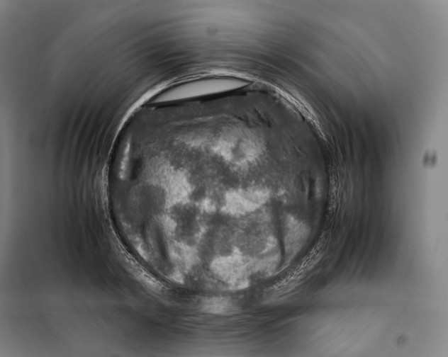 X0000099570798200806061602