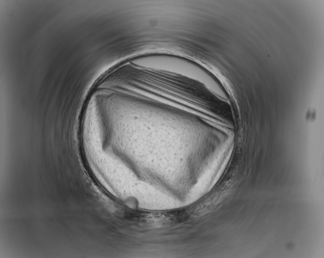 X0000099570799200806061602
