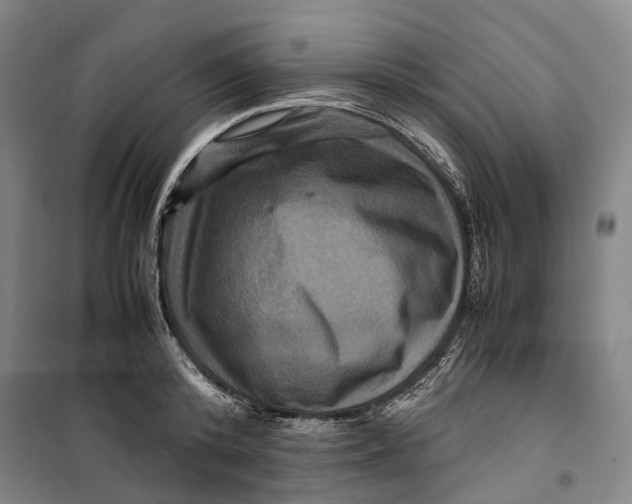 X0000099570800200806061602