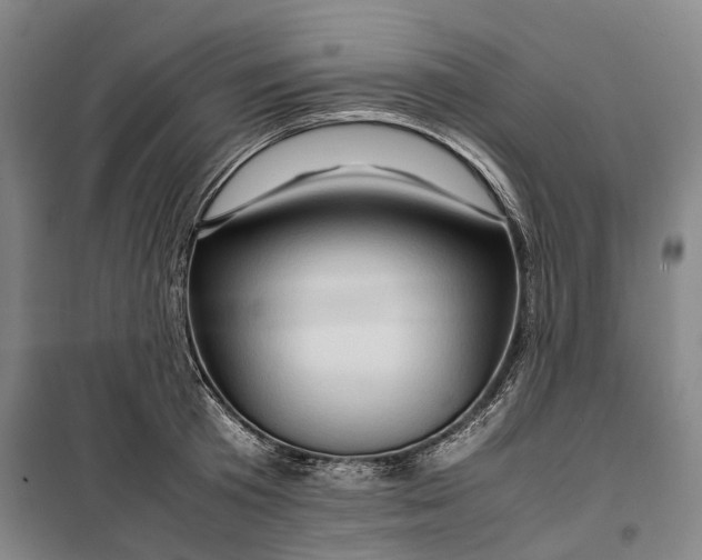 X0000099570801200806061602