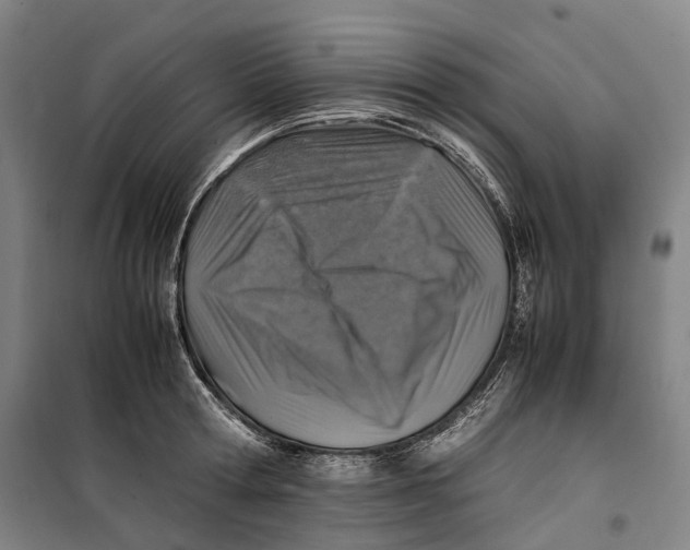 X0000099570802200806061601