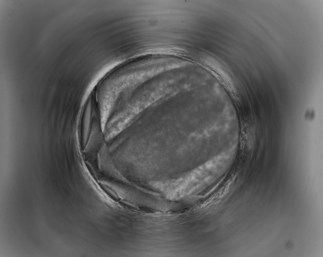 X0000099570804200806061601