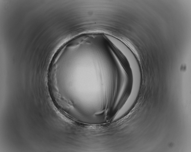X0000099570805200806061601