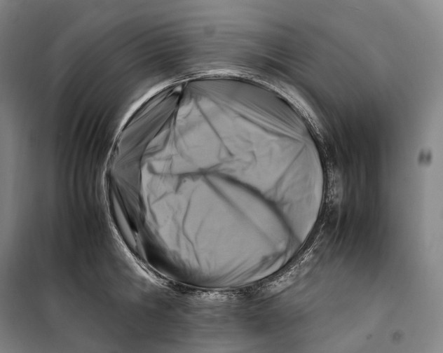X0000099570806200806061601