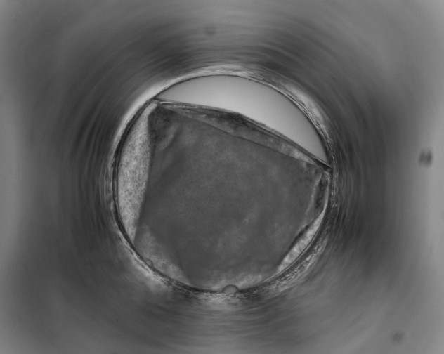 X0000099570808200806061601