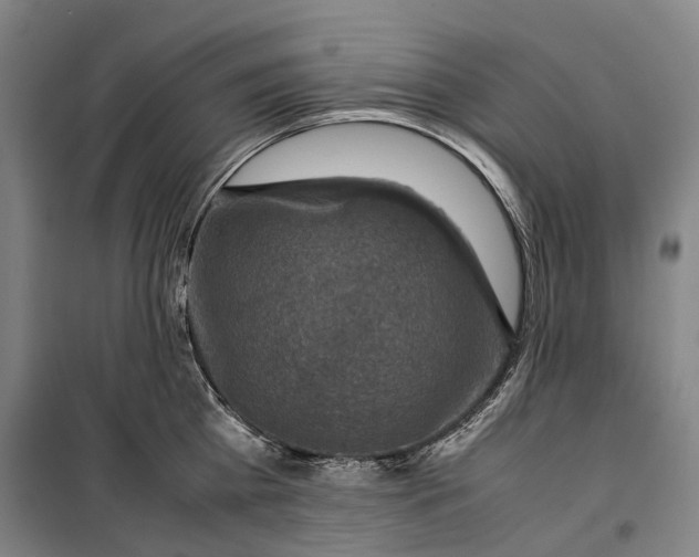 X0000099570809200806061601