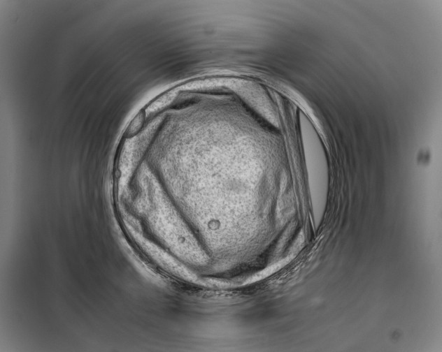 X0000099570811200806061601