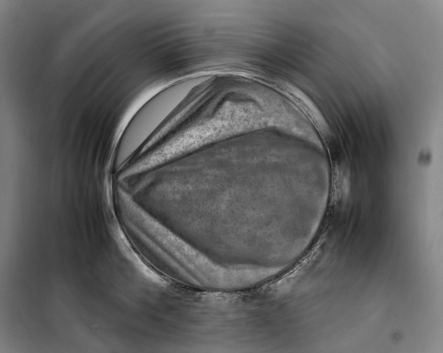 X0000099570812200806061601