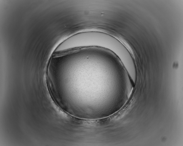 X0000099570813200806061601