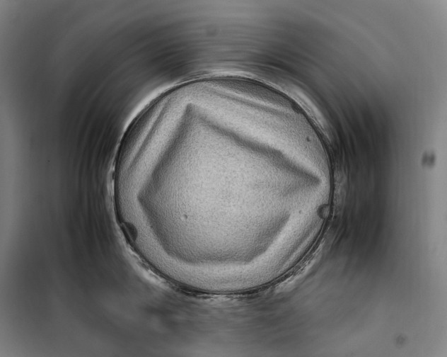 X0000099570814200806061601