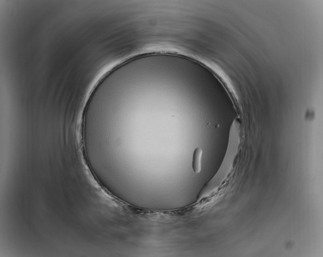 X0000099570815200806061601