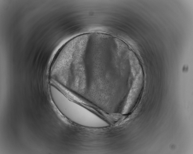 X0000099570816200806061601