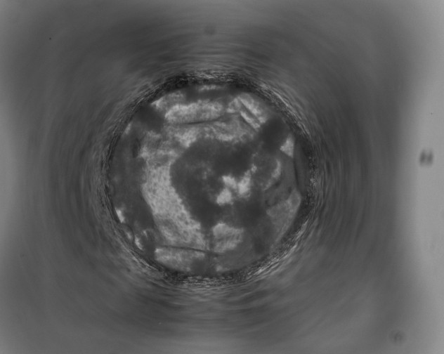 X0000099570817200806061601