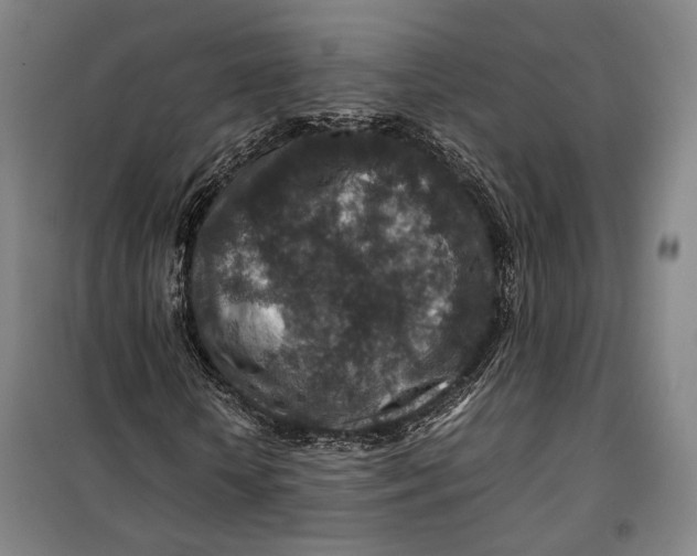 X0000099570818200806061601