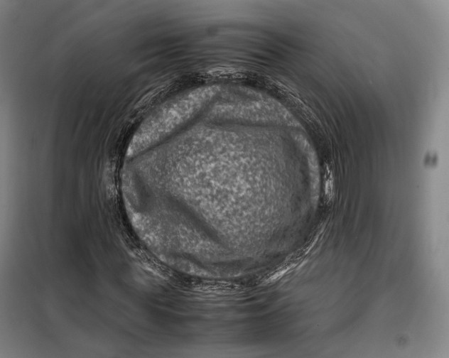 X0000099570819200806061601