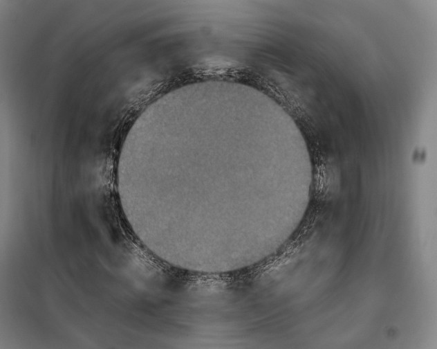 X0000099570820200806061601