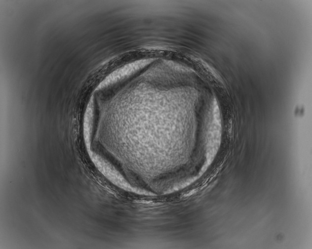 X0000099570821200806061601