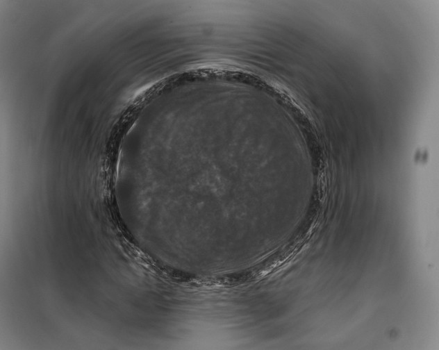 X0000099570822200806061601