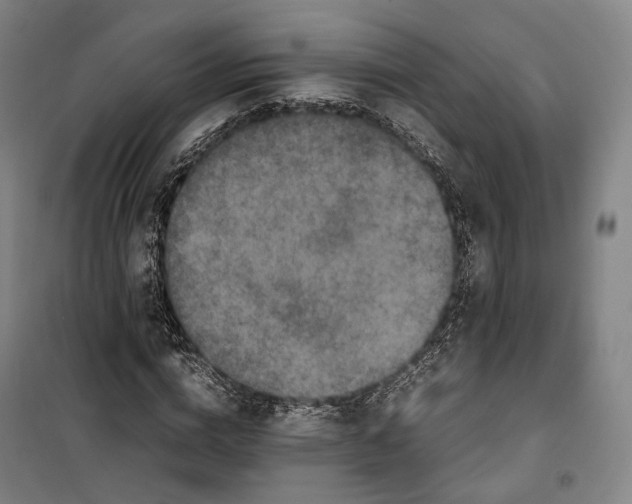 X0000099570824200806061601