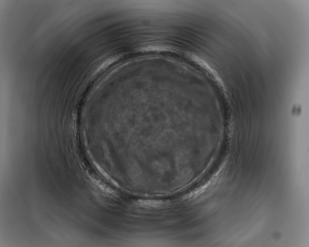 X0000099570825200806061601