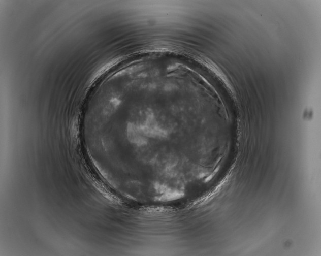 X0000099570826200806061601