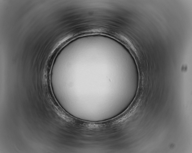 X0000099570827200806061601