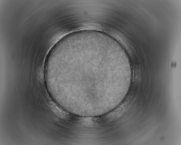 X0000099570828200806061601