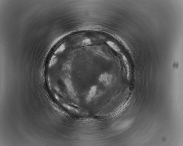 X0000099570830200806061601