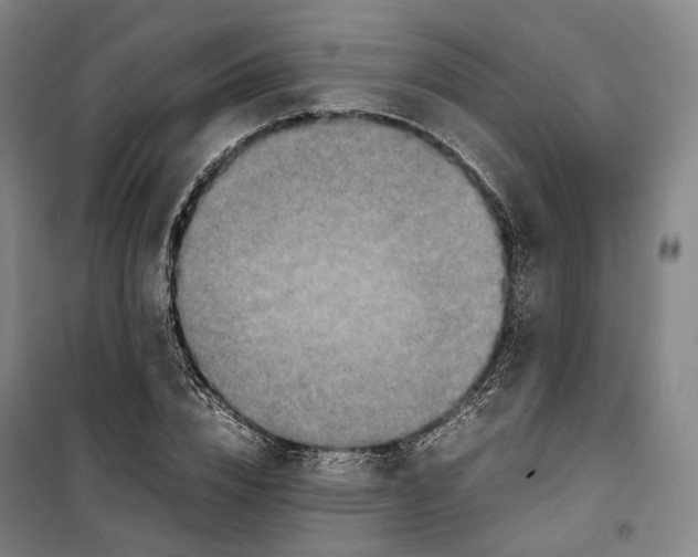 X0000099570832200806061601