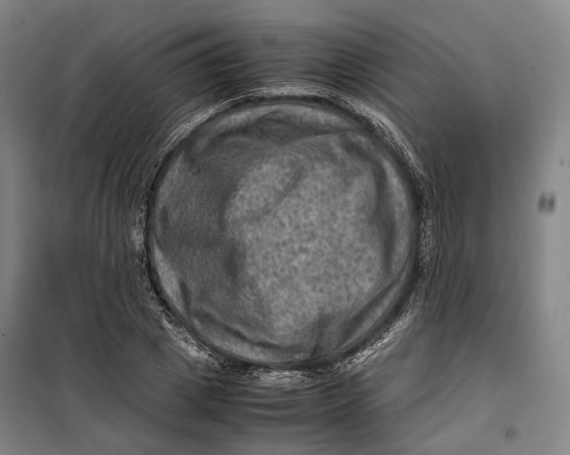 X0000099570833200806061601