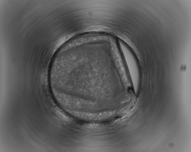 X0000099570834200806061601