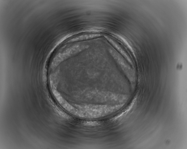 X0000099570835200806061601