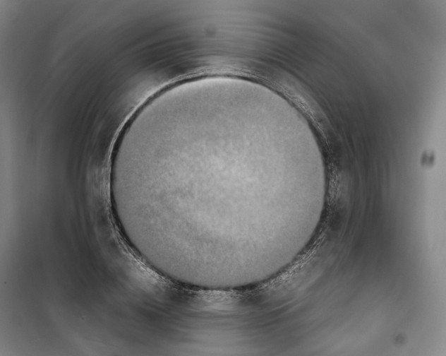 X0000099570836200806061601