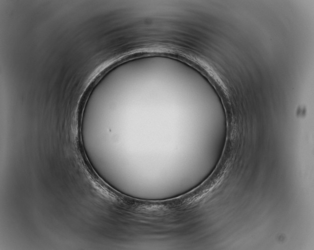X0000099570837200806061601