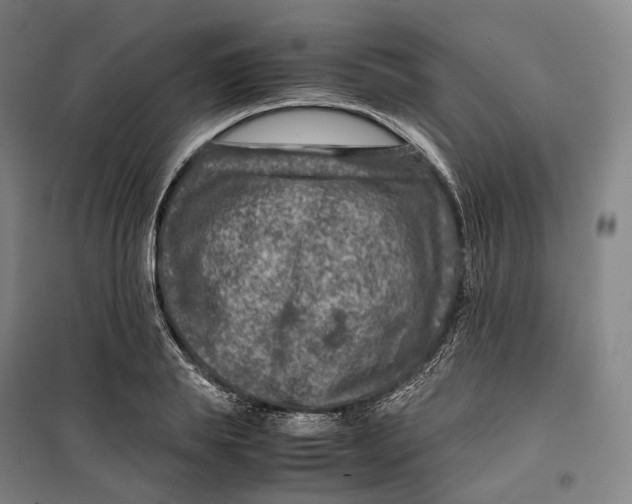 X0000099570839200806061601
