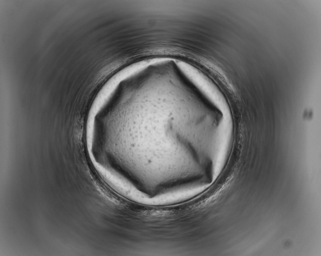 X0000099570841200806061601