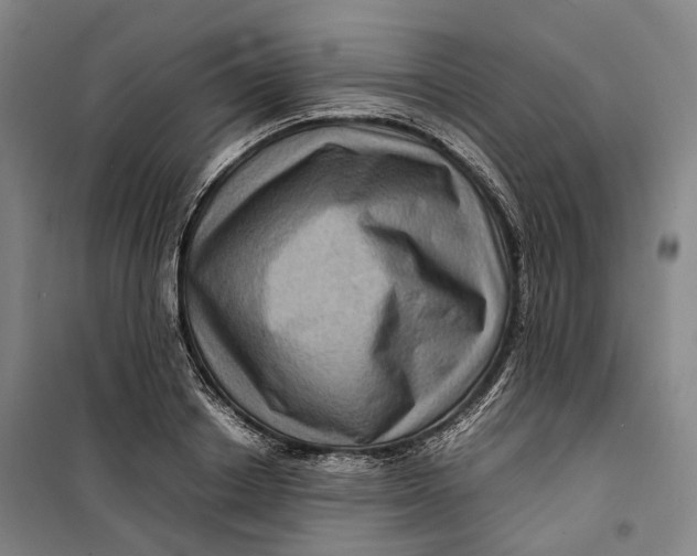 X0000099570842200806061601