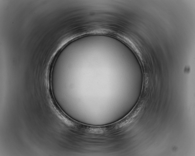 X0000099570843200806061601